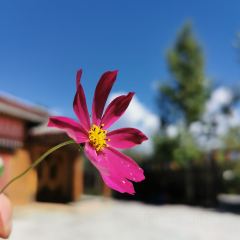 松潘上磨康萨藏家乐 User Photo