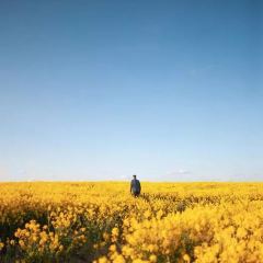 斯科納花園麵包餐廳(海岸城店)張用戶圖片