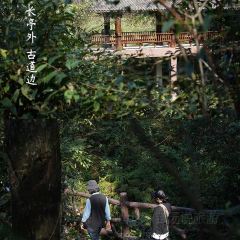 巴谷宿集 User Photo