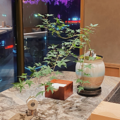 紫薇Omakase張用戶圖片