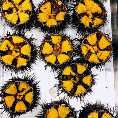 wan sheng he User Photo