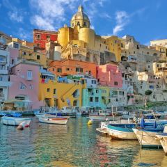 Trattoria Da Procida User Photo