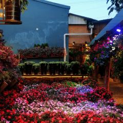 912张宜花园餐厅 User Photo