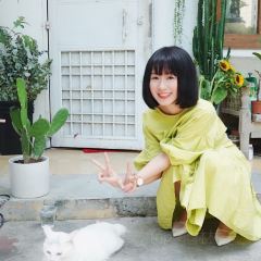 当下咖啡馆(屯昌屯城吾谢咖啡店) User Photo