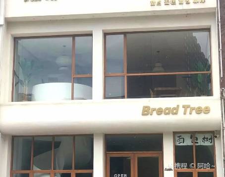 Bread Tree