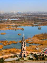 滹沱河濱水生態公園
