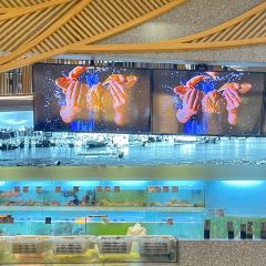 壹品蒸鮮(東二環泰禾店)張用戶圖片