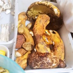 红玲肉饼野生菌火锅店 User Photo