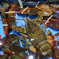 诠昕餐厅 User Photo