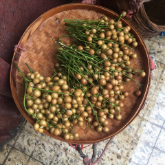 山姜头鸡汤 ảnh của người dùng
