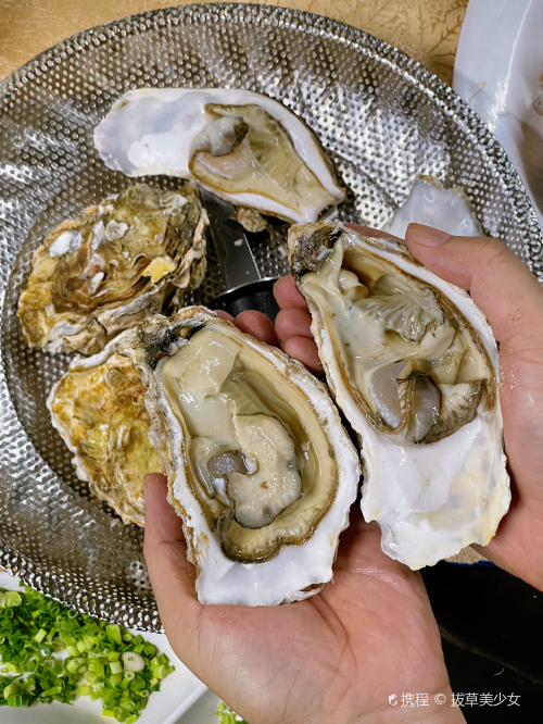 漁文樂農莊
