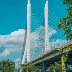 竹園中餐廳張用戶圖片