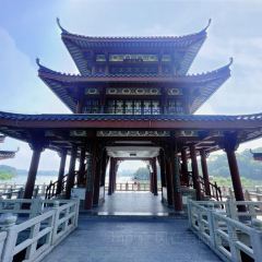 僑越卷粉張用戶圖片