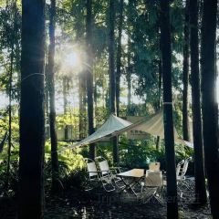 Wild Coffee Studio User Photo