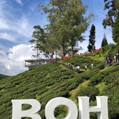 Starbucks User Photo