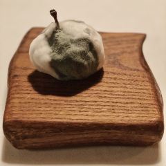 Mugaritz User Photo