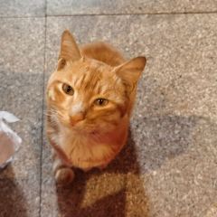 杨家花园(红井街店) User Photo