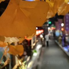 夏月小楼 User Photo