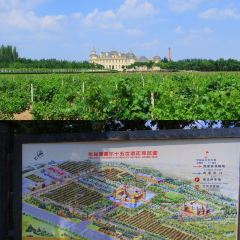 龙谕酒庄·餐饮部 User Photo