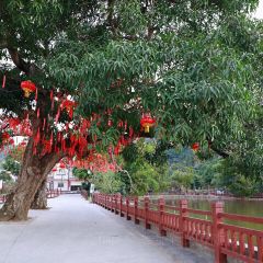 正宗高流河饭店原创风姜鸡 User Photo