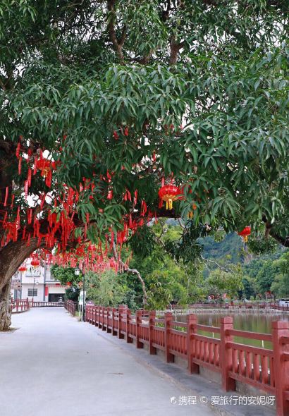 正宗高流河饭店原创风姜鸡