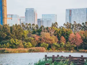 Wuyuanwan Wetland Park