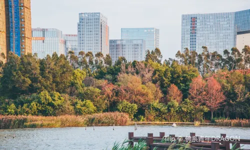 Wuyuanwan Wetland Park