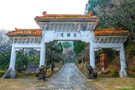 Meiling Ridge
