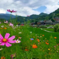 山房全景餐厅 User Photo