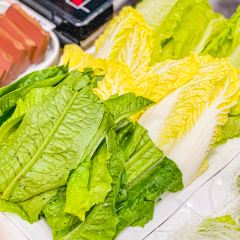 張金記豬肚雞張用戶圖片