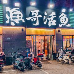 漁哥活魚張用戶圖片