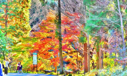 Higashiyama Zoo and Botanical Gardens