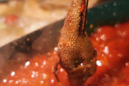 吼堂老火鍋（太古裏總店）