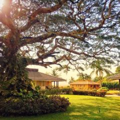 Bagan Thiripyistaya Sanctuary Resort User Photo