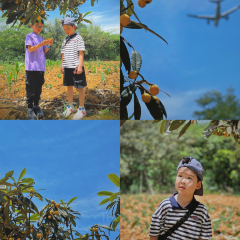 归来居 User Photo