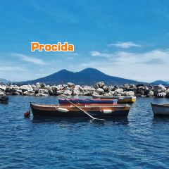 Trattoria Da Procida User Photo