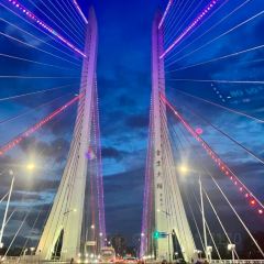 竹園中餐廳張用戶圖片