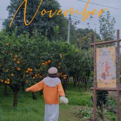 小馆·苔野 User Photo