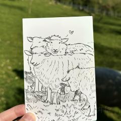 Tussock Hill Vineyard and Cellar Door Restaurant 여행 사진