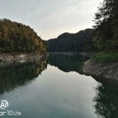新桥河老鱼店 User Photo