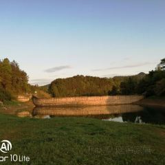 新桥河老鱼店 User Photo