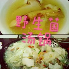 云南野生菌汤锅王 User Photo