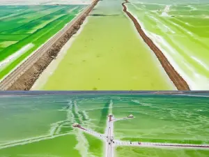 Wanzhang Yanqiao Bridge