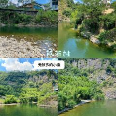 一茶一坐农庄 User Photo