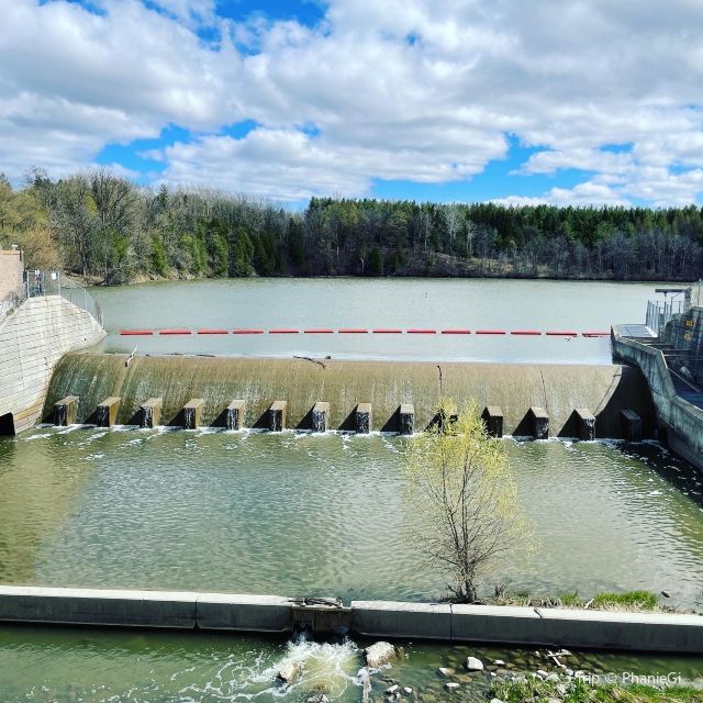 Milne Dam Conservation Park