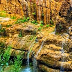 云台山小吃城 User Photo