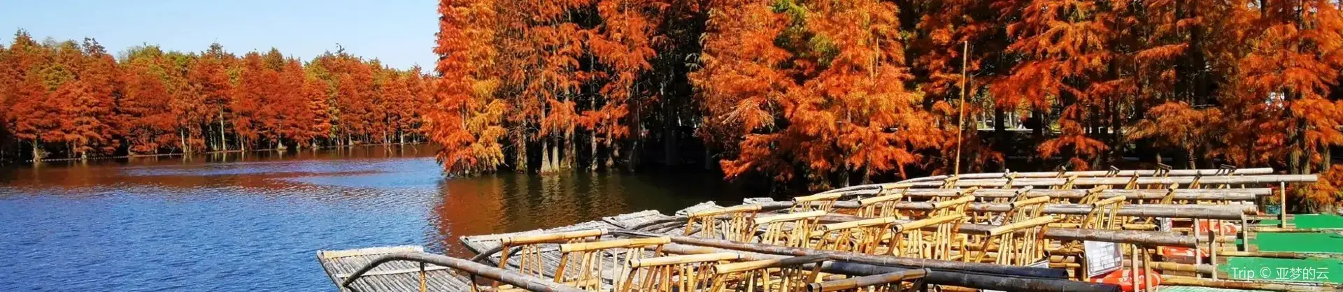 Fall Viewing Attractions