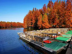 Popular Fall Viewing Attractions in Changshu