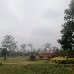 金福海鲜饭店(新港城店) User Photo