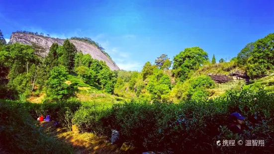 天心岩茶村